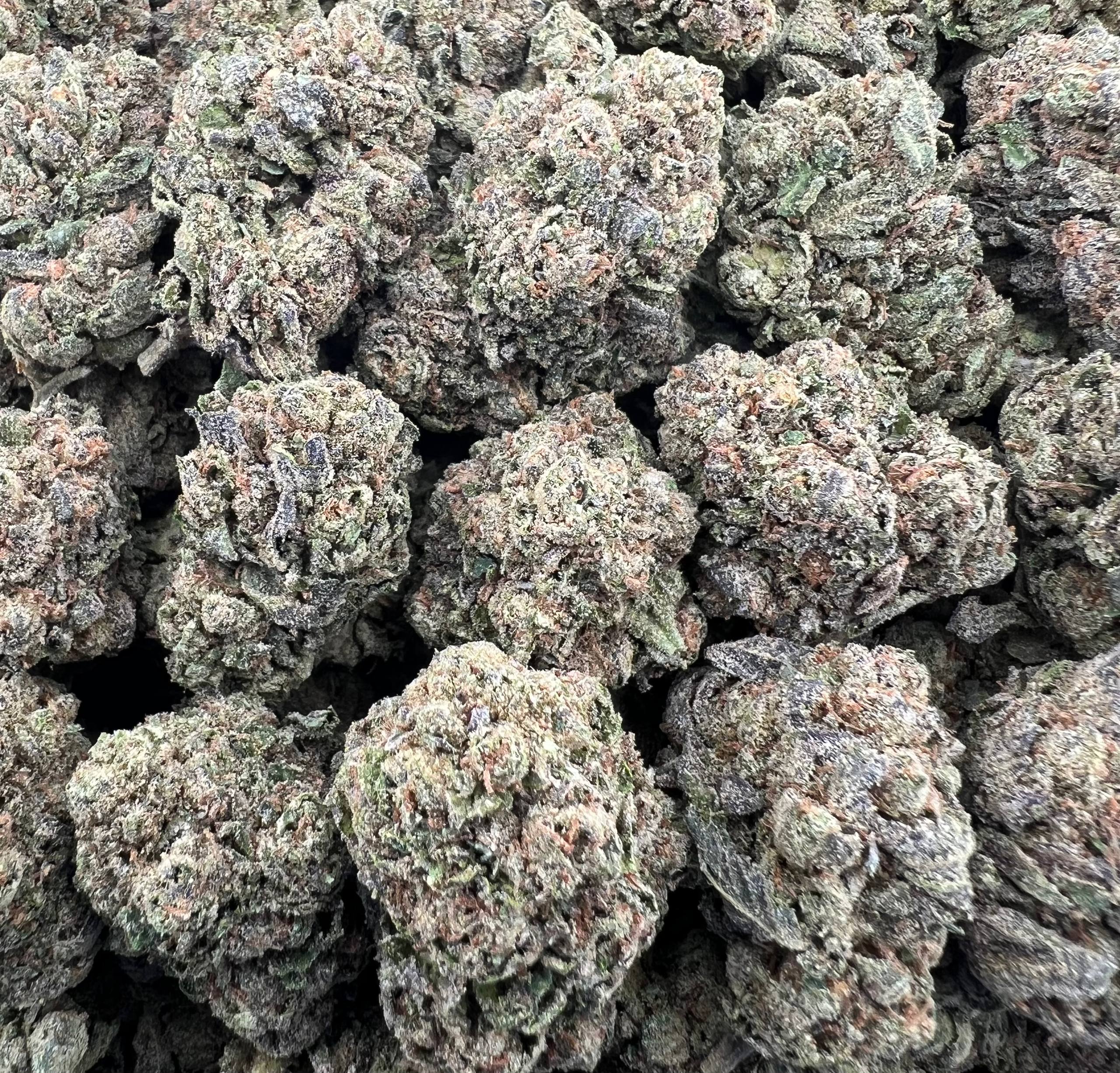 BLACK RUNTZ [475]