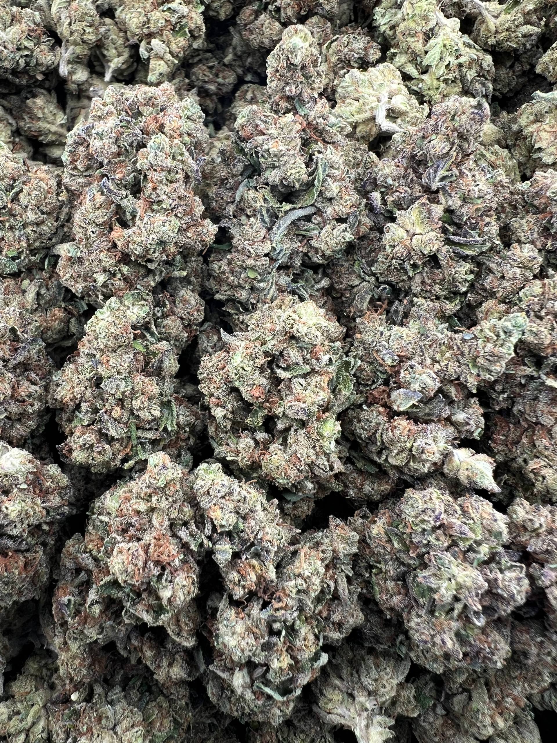 GELATO GAS [350]