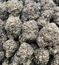 GLUE COOKIES [350]