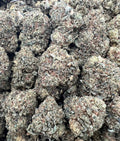 GORILLA REPUBLIC [300]