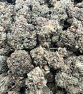 GLUE GOTTI [450]