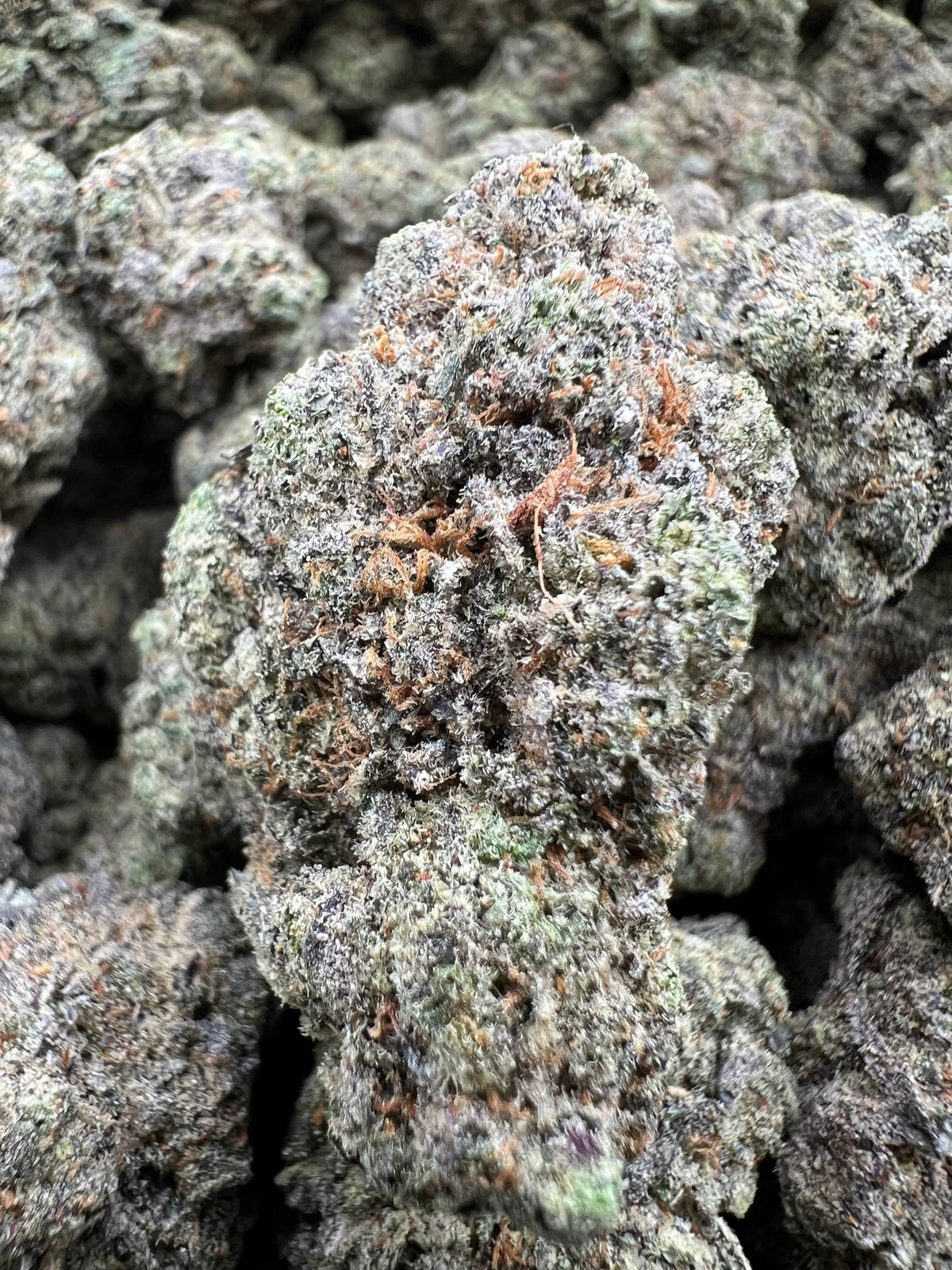 ETHER CANDY [825]