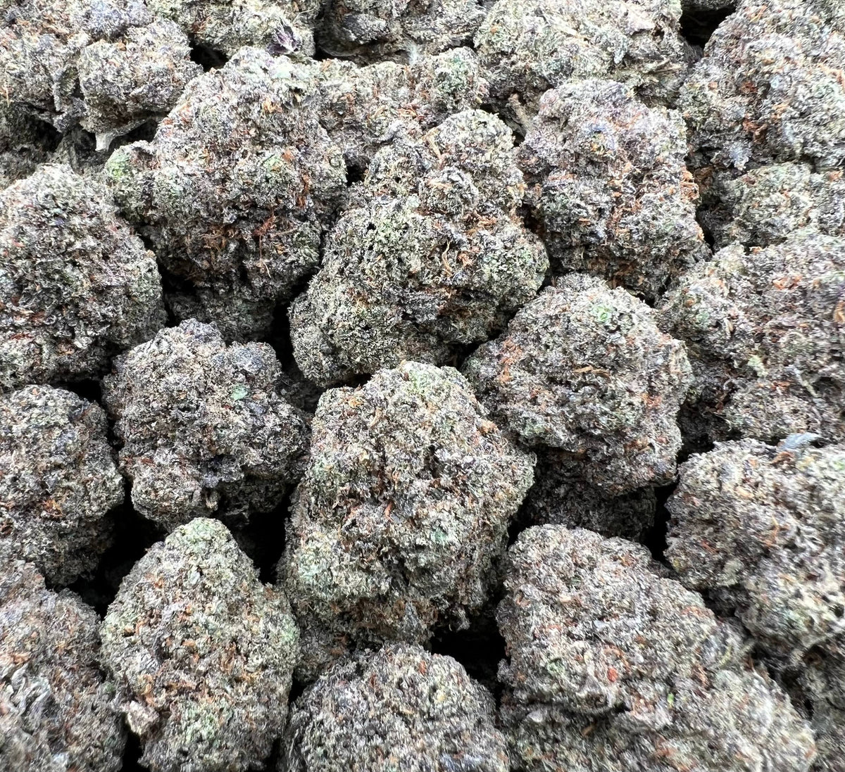 ETHER CANDY [825]