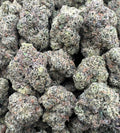 PINK CANDY GELATO [900]