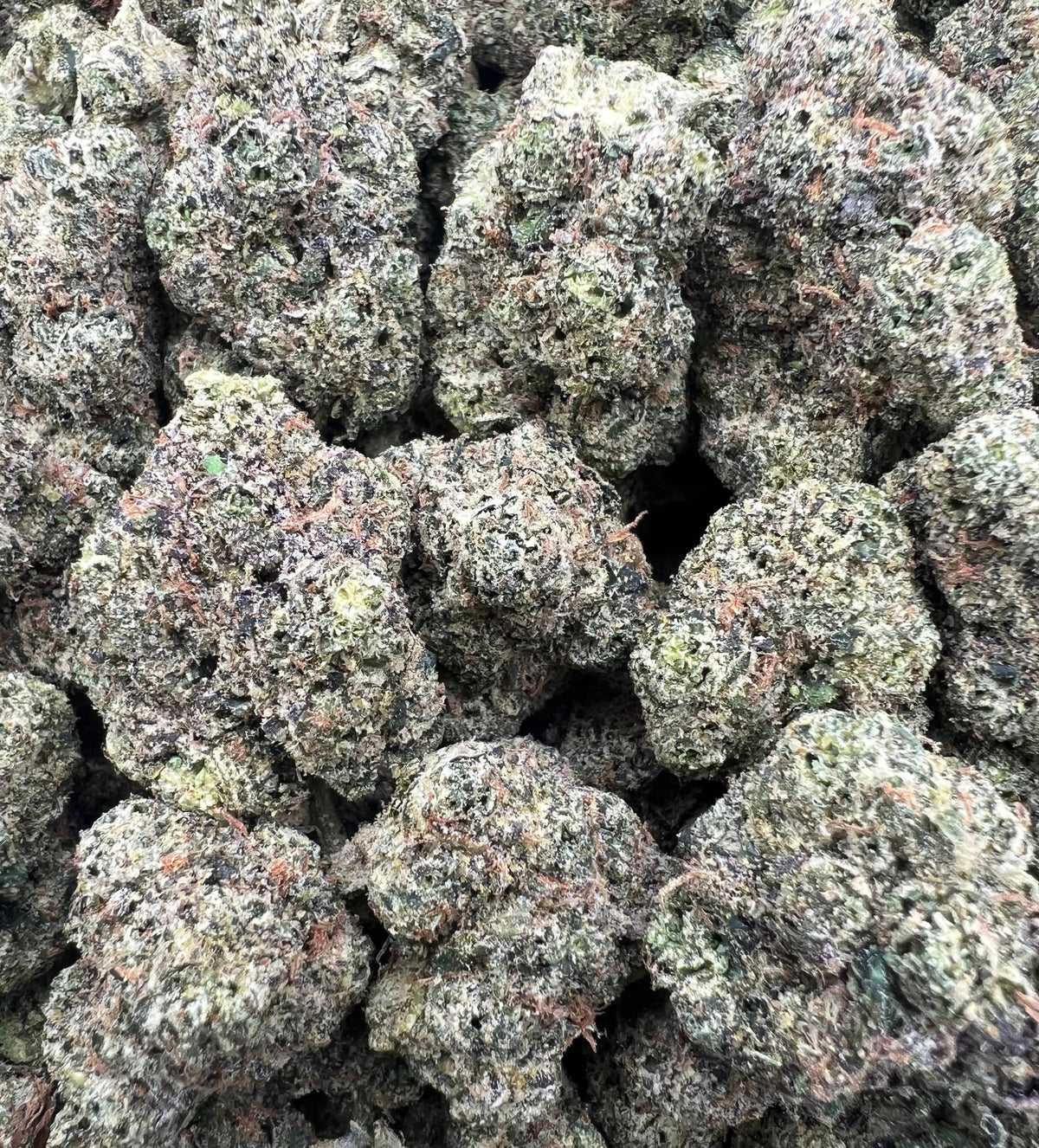 PINK CANDY GELATO [900]