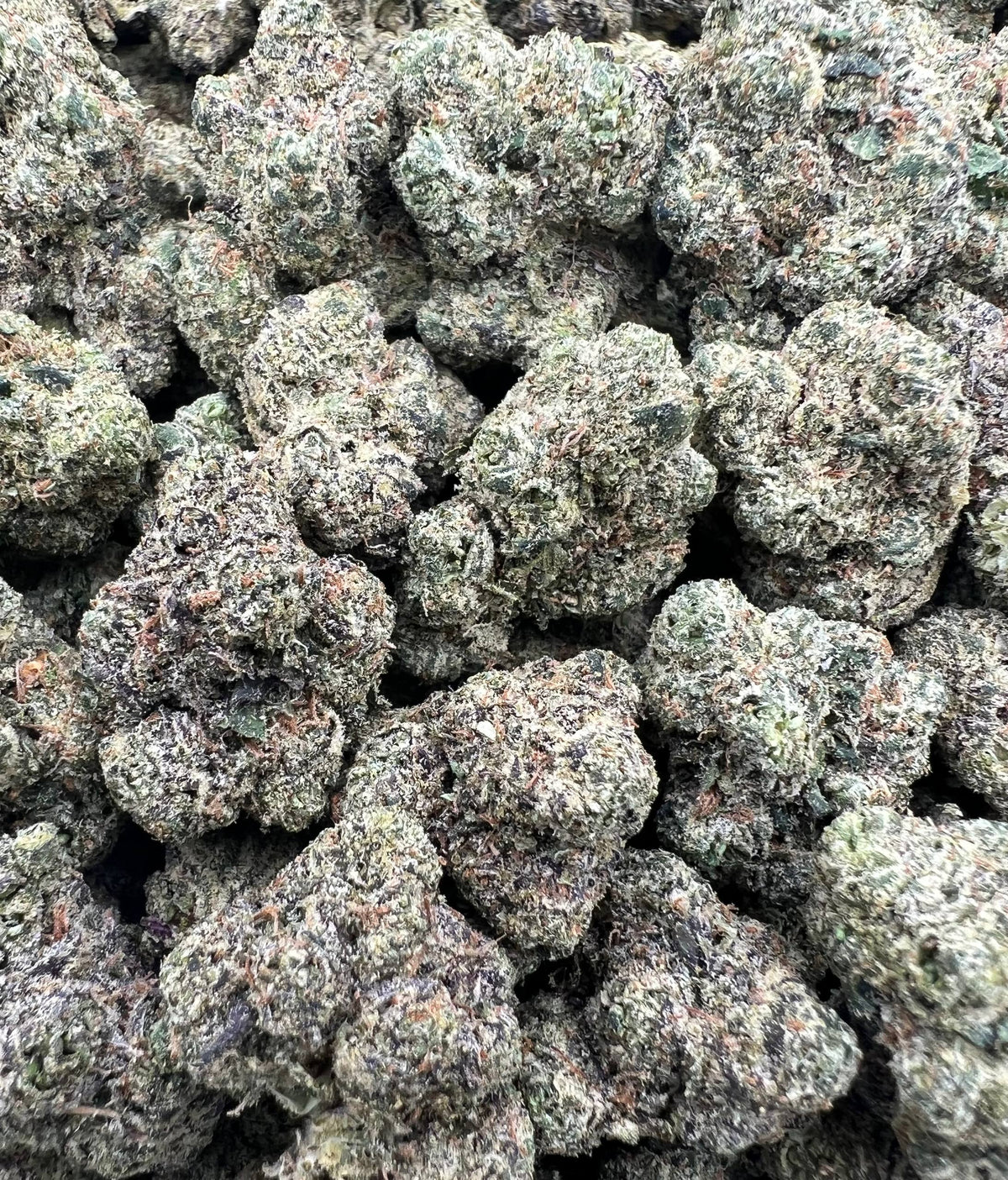 BLUE JOKERZ [850]