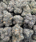 PURPLE ZOTZ [950]