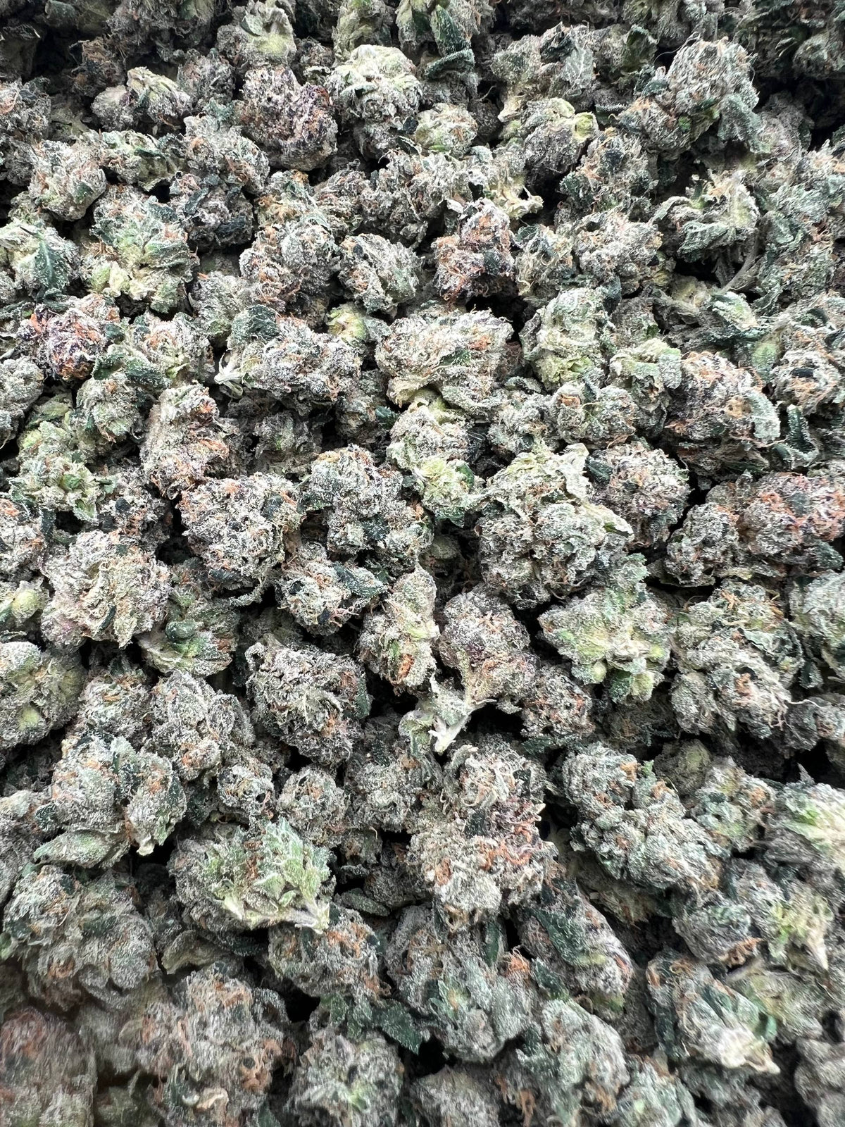 JR REDRUM CANDIES [700]