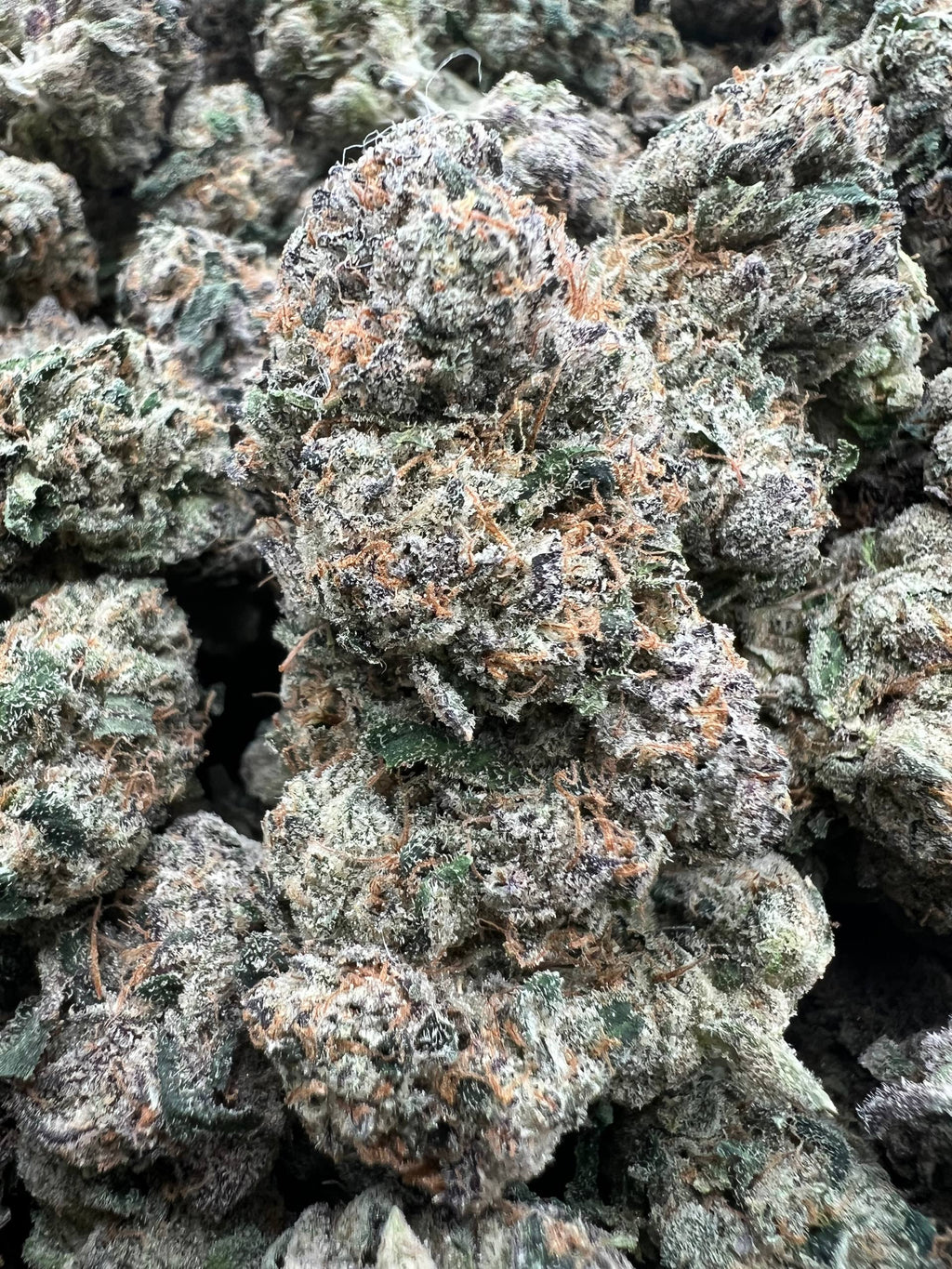 REDRUM CANDIES [900]