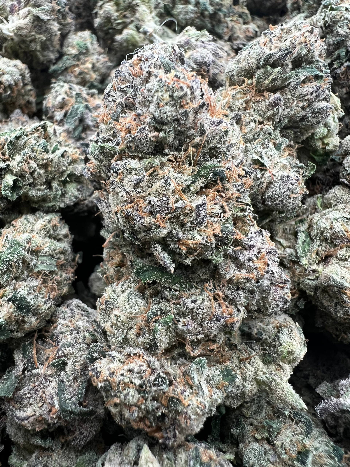 REDRUM CANDIES [900]