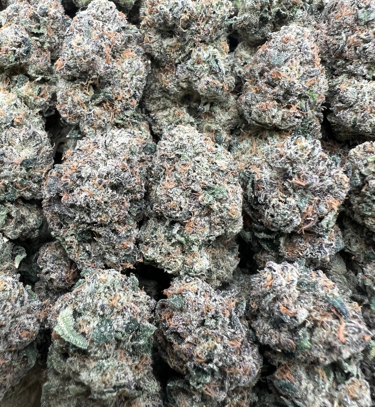 REDRUM CANDIES [900]