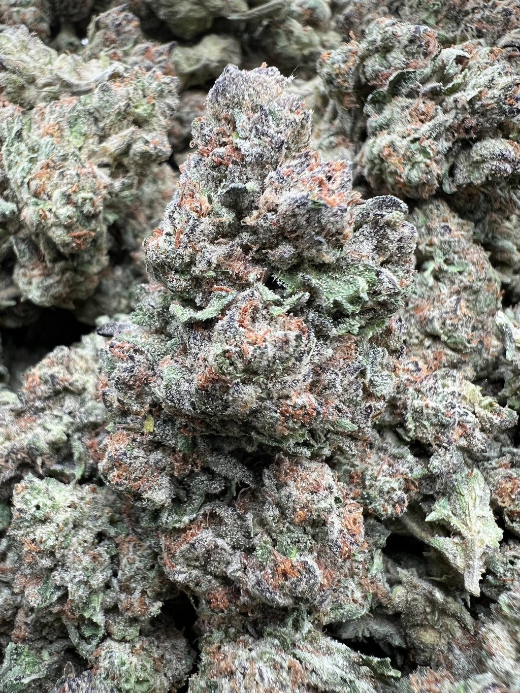 BLUEBERRY POP [600]