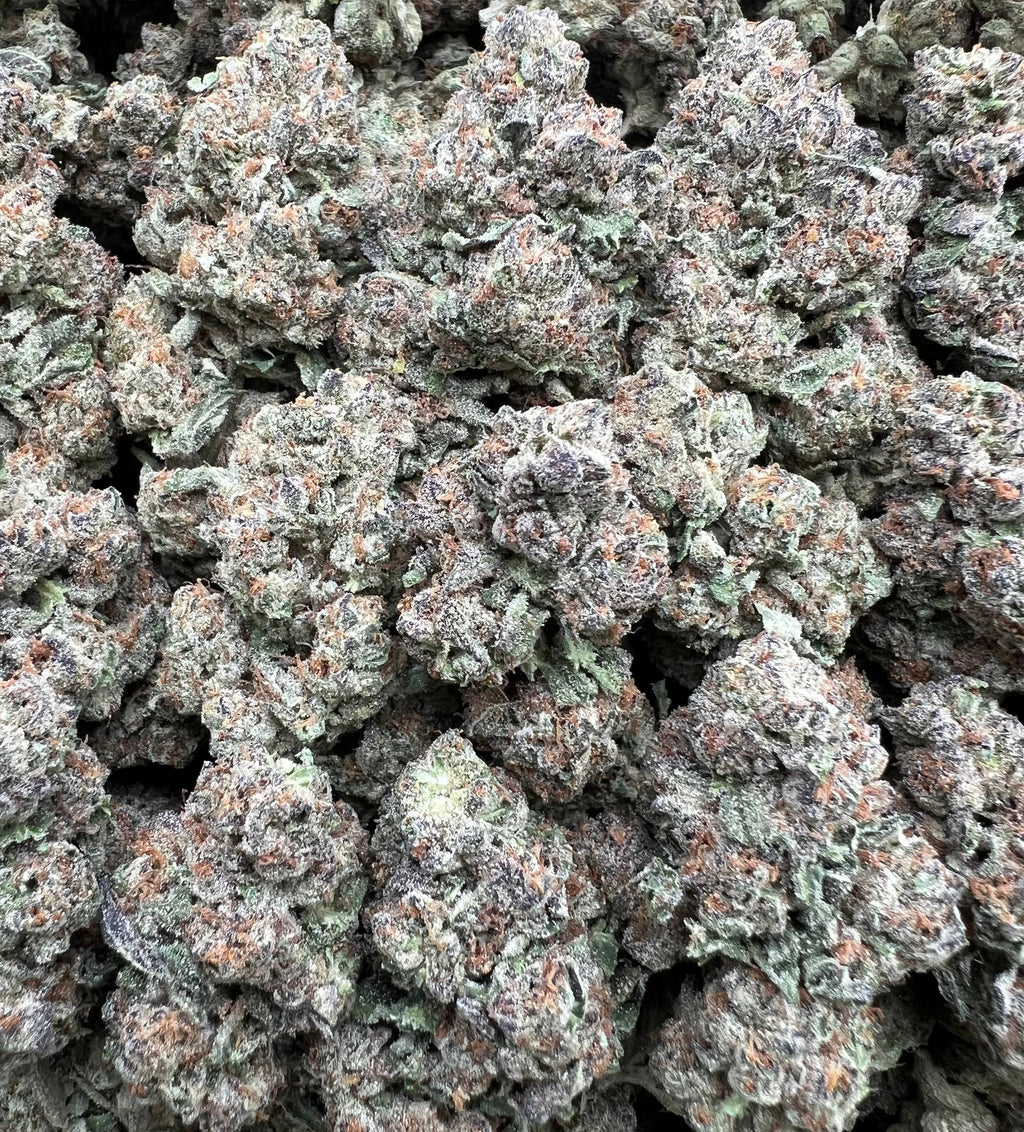 BLUEBERRY POP [600]