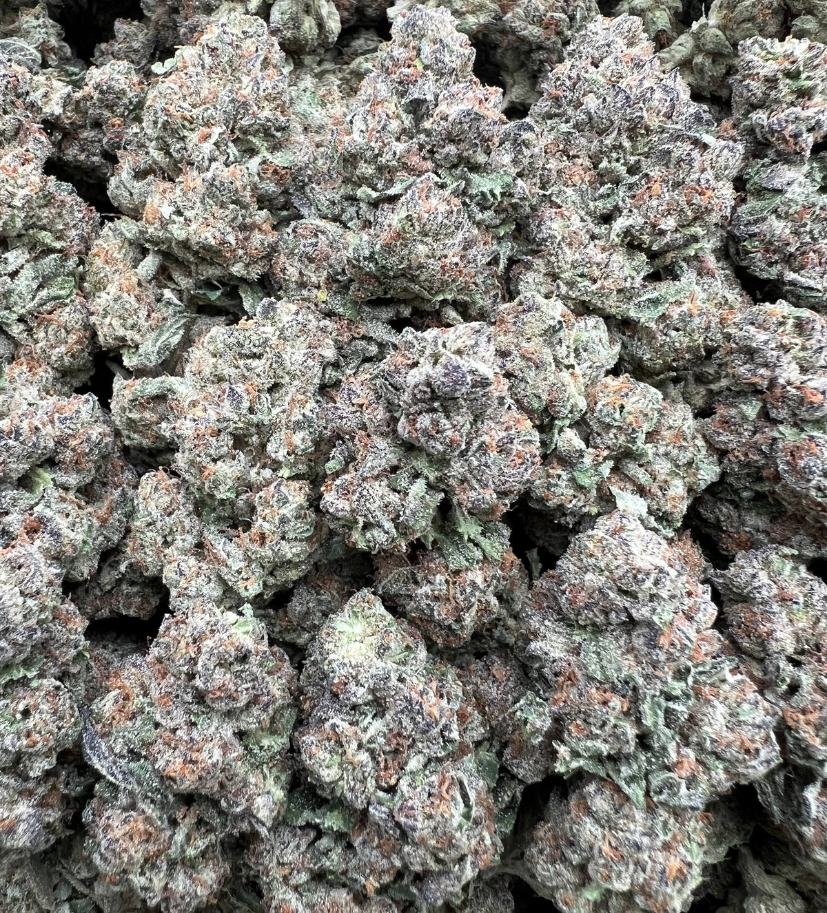 BLUEBERRY POP [600]