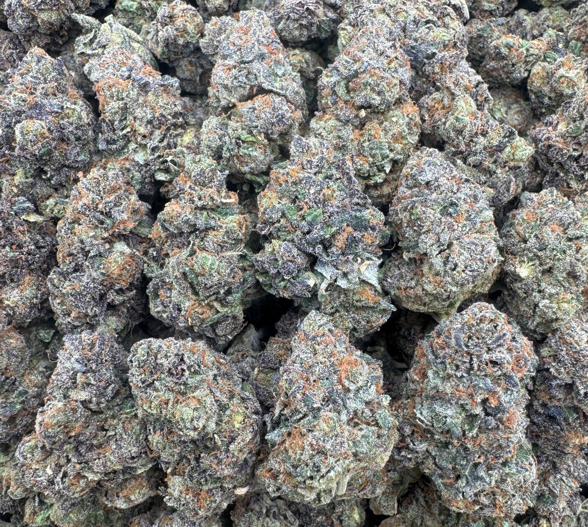 CEREAL MILK [825]