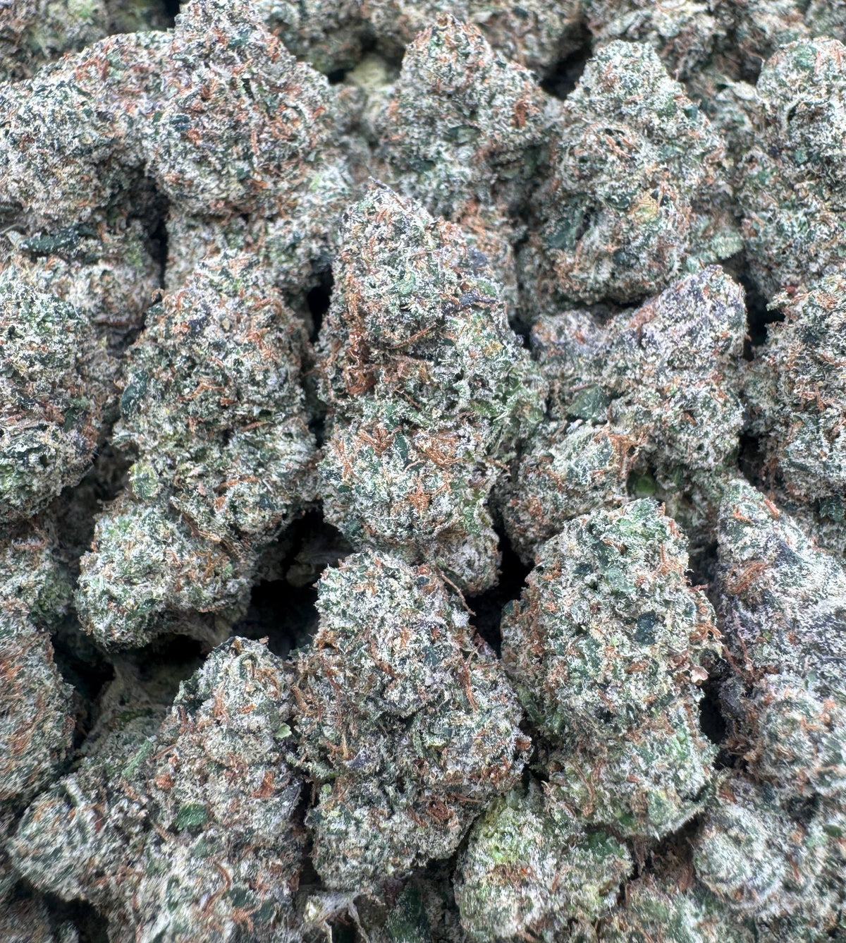 LEMON CHERRY OCTANE [800]