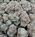 BLUE ZLUSHEE [900]