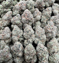 JELLY GUMDROP [875]