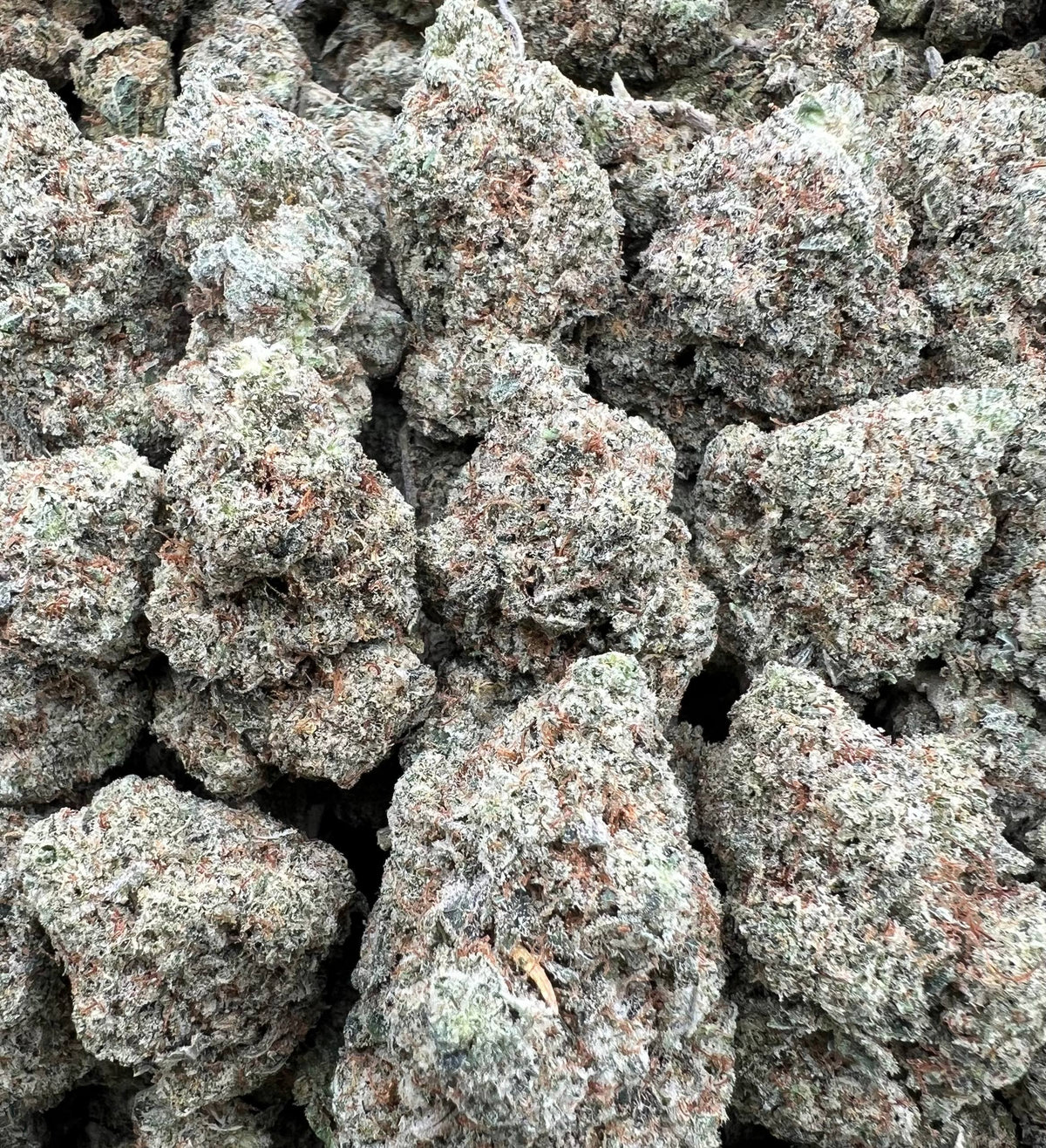 MOCHI CANDY MEDIUMS [750]