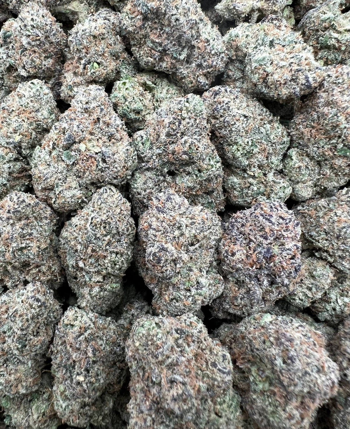 OBAMA CANDY [900]