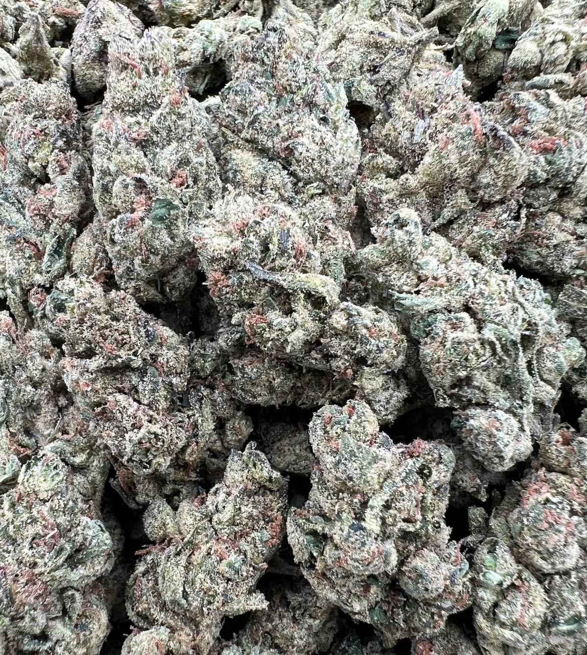 DIAMOND GELATO [500]