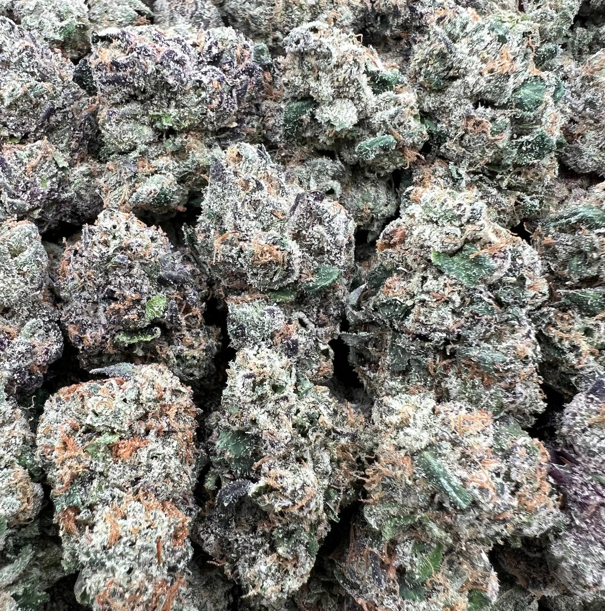 CANDY COLADA [1100]