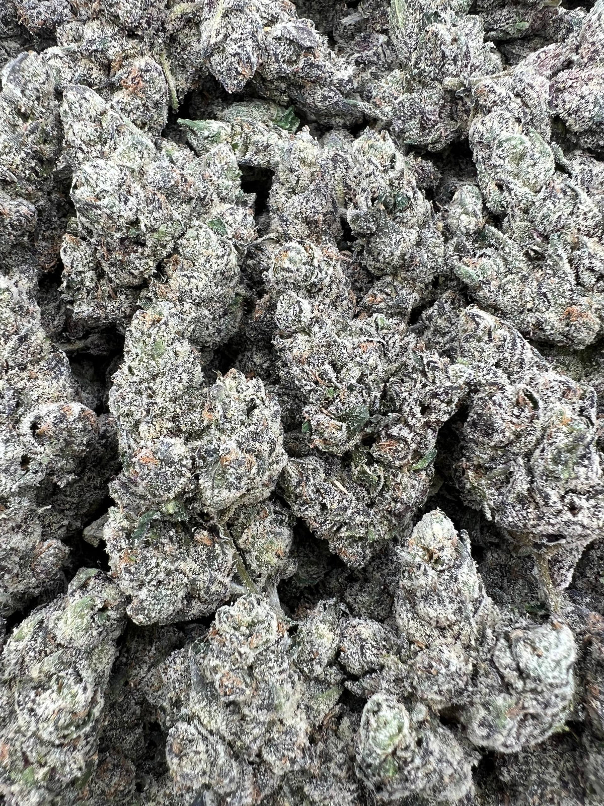 CHERRY BOMBZ [1300]