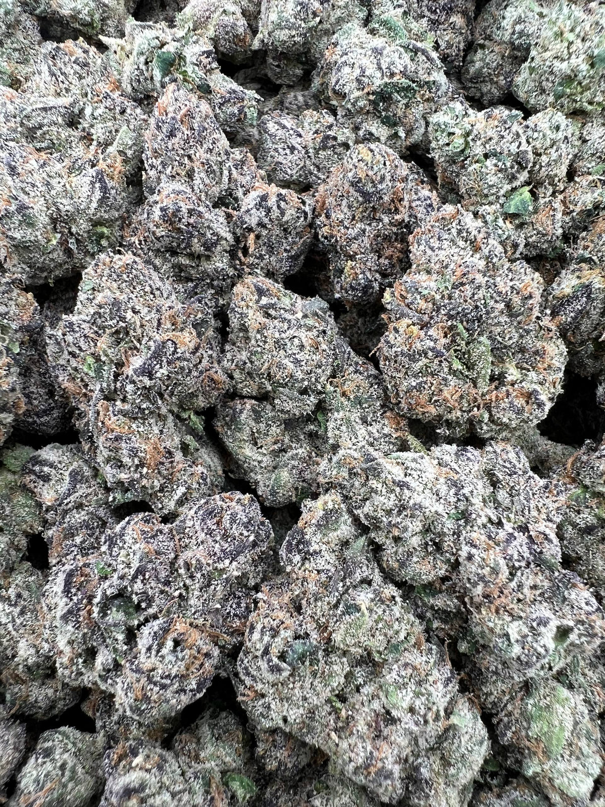 RUNTZ DMC [1050]