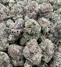 STICKY BUNZ [800]