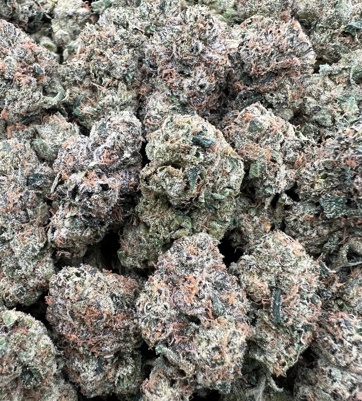 STICKY BUNZ [800]