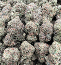 BERRY RUNTZ [500]
