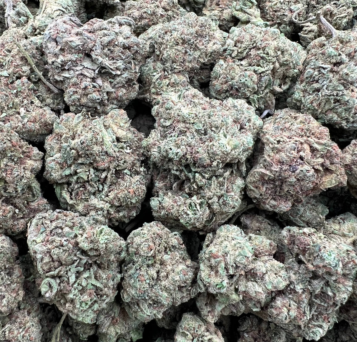DOUBLE UP CHERRIEZ [275]