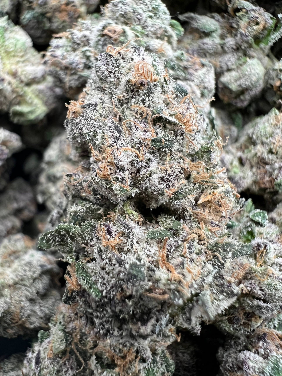 BLUE CANDY POPPERZ [1150]