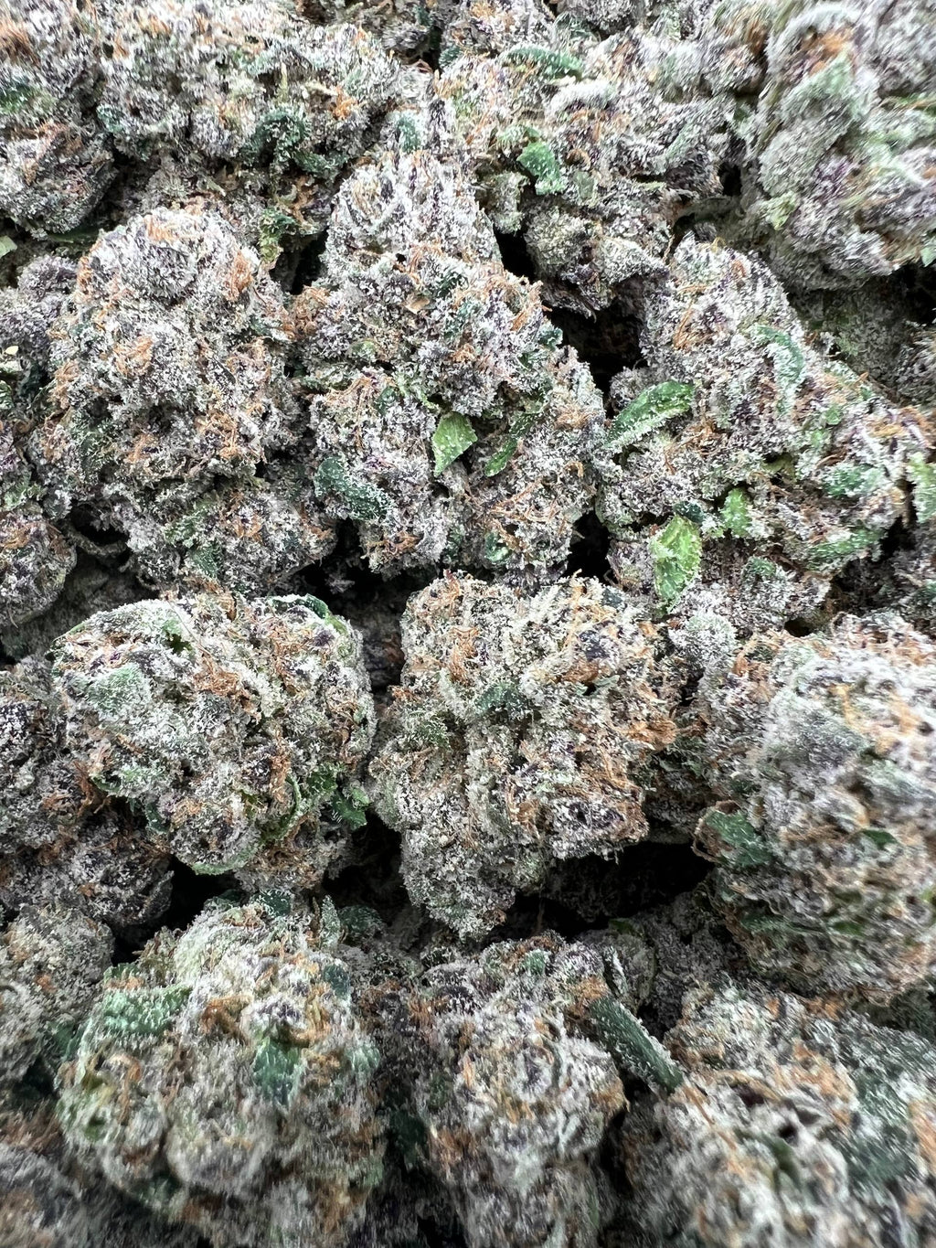 BLUE CANDY POPPERZ [1150]