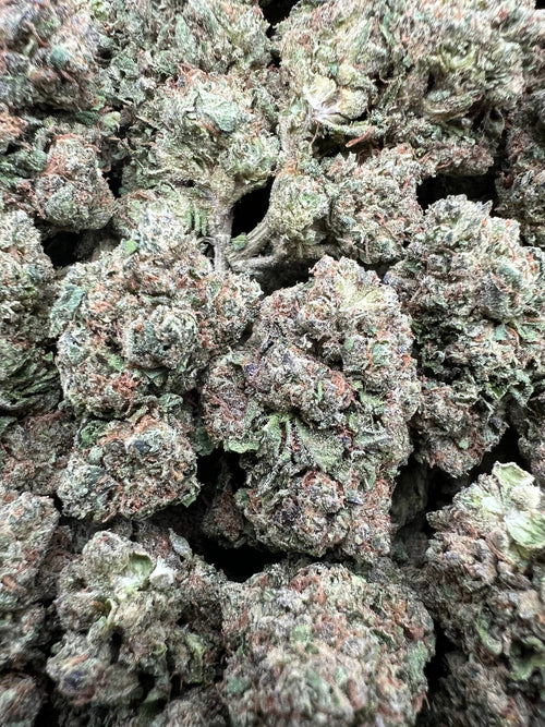 BLUE ZKITTLEZ [500]