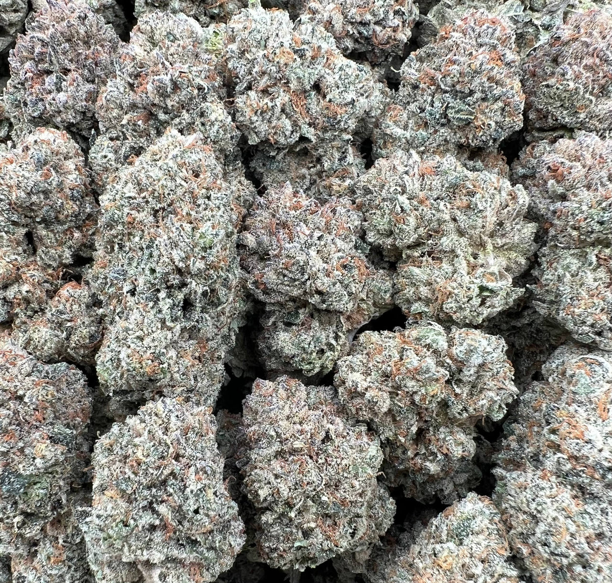 AAA CANDIES [800]