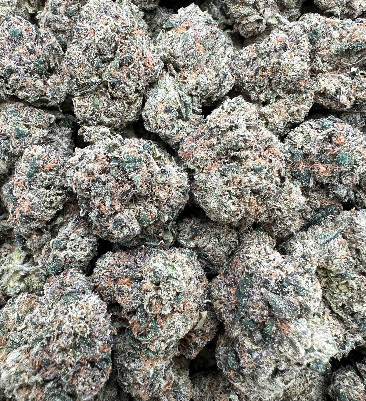 LEMON CHERRY RUNTZ [850]