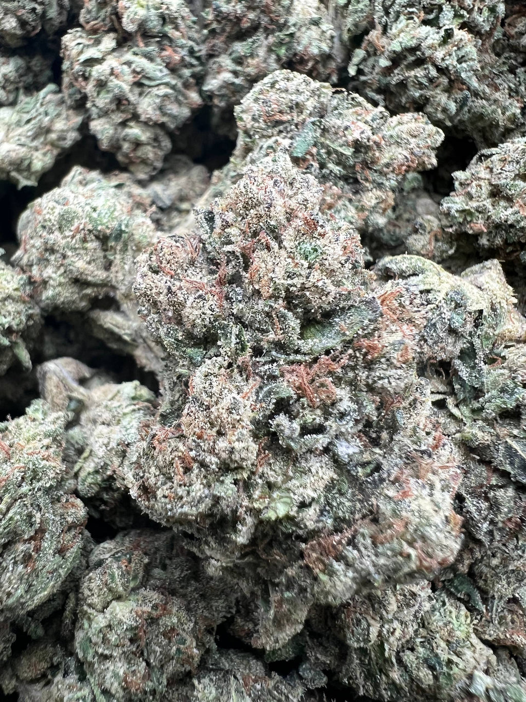 ROZAY GELATO [550]