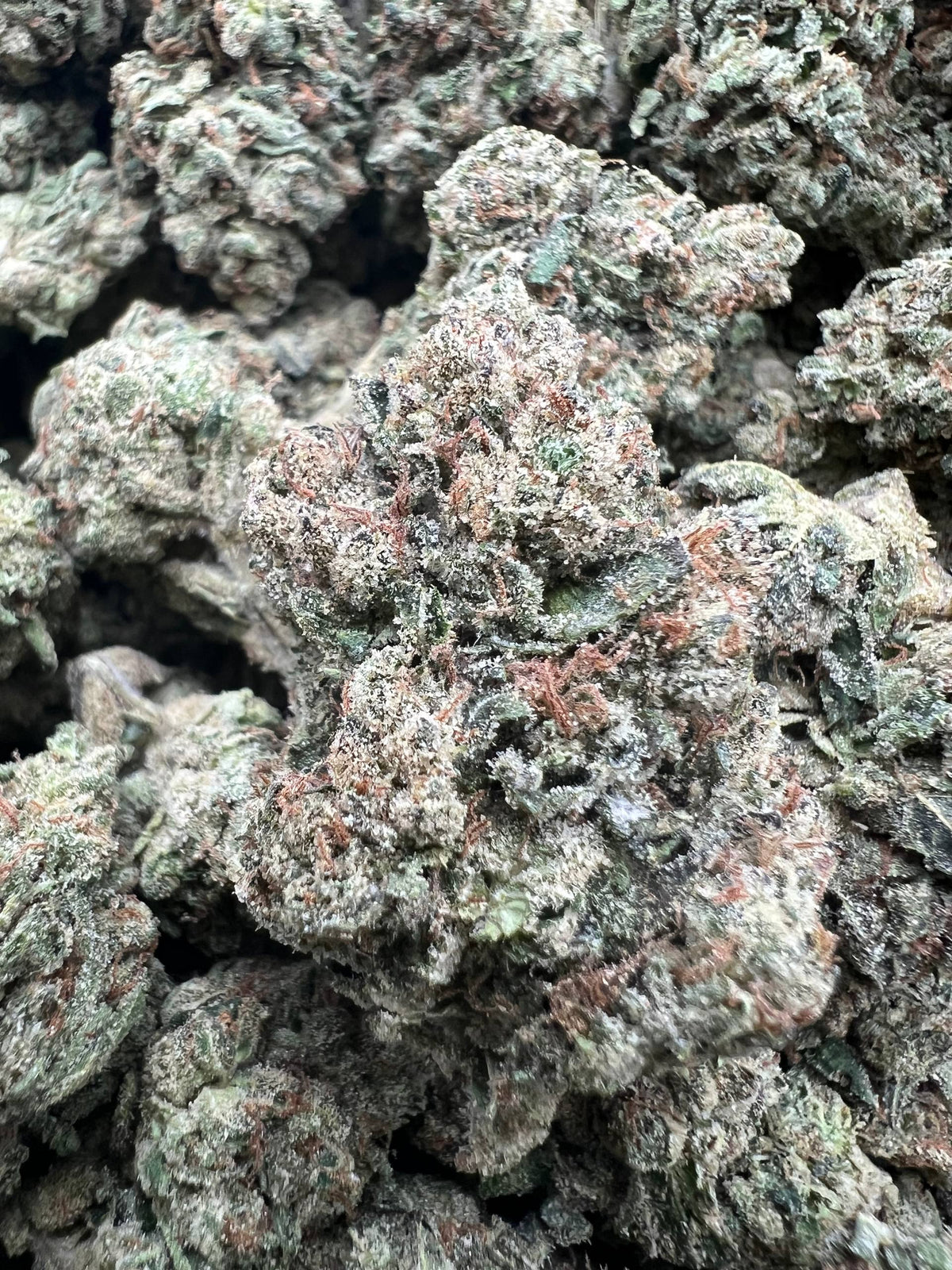 ROZAY GELATO [550]