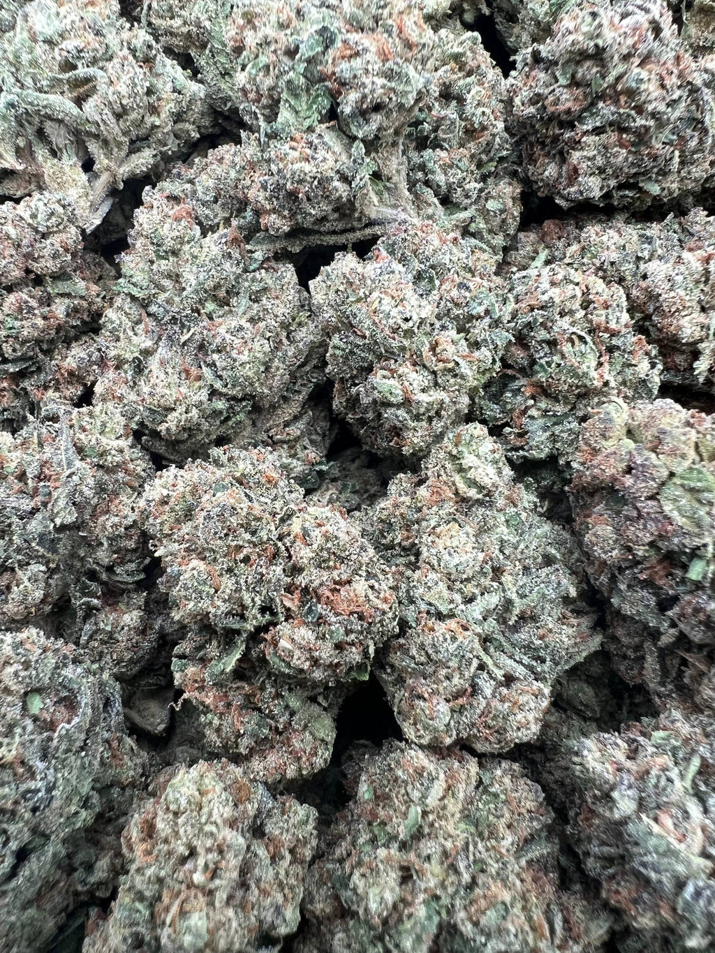 ROZAY GELATO [550]