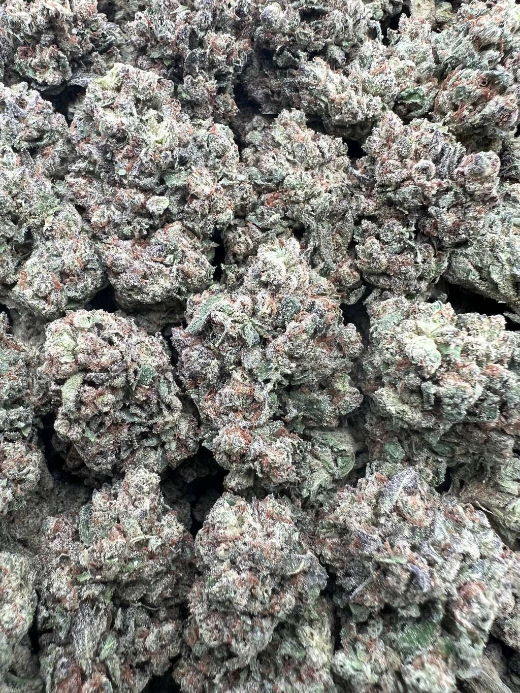 COOCHIE CANDIES [550]