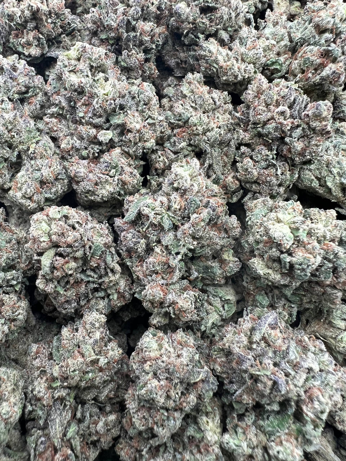 COOCHIE CANDIES [550]