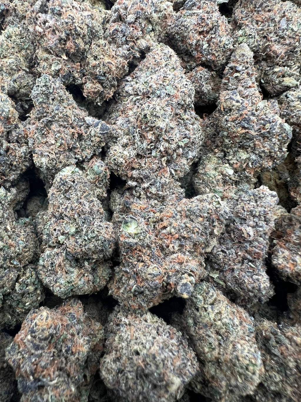 G GELATO [400]