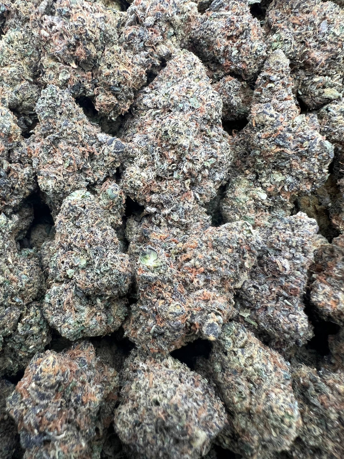 G GELATO [400]
