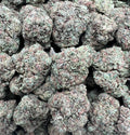 MAUI RUNTZ [475]