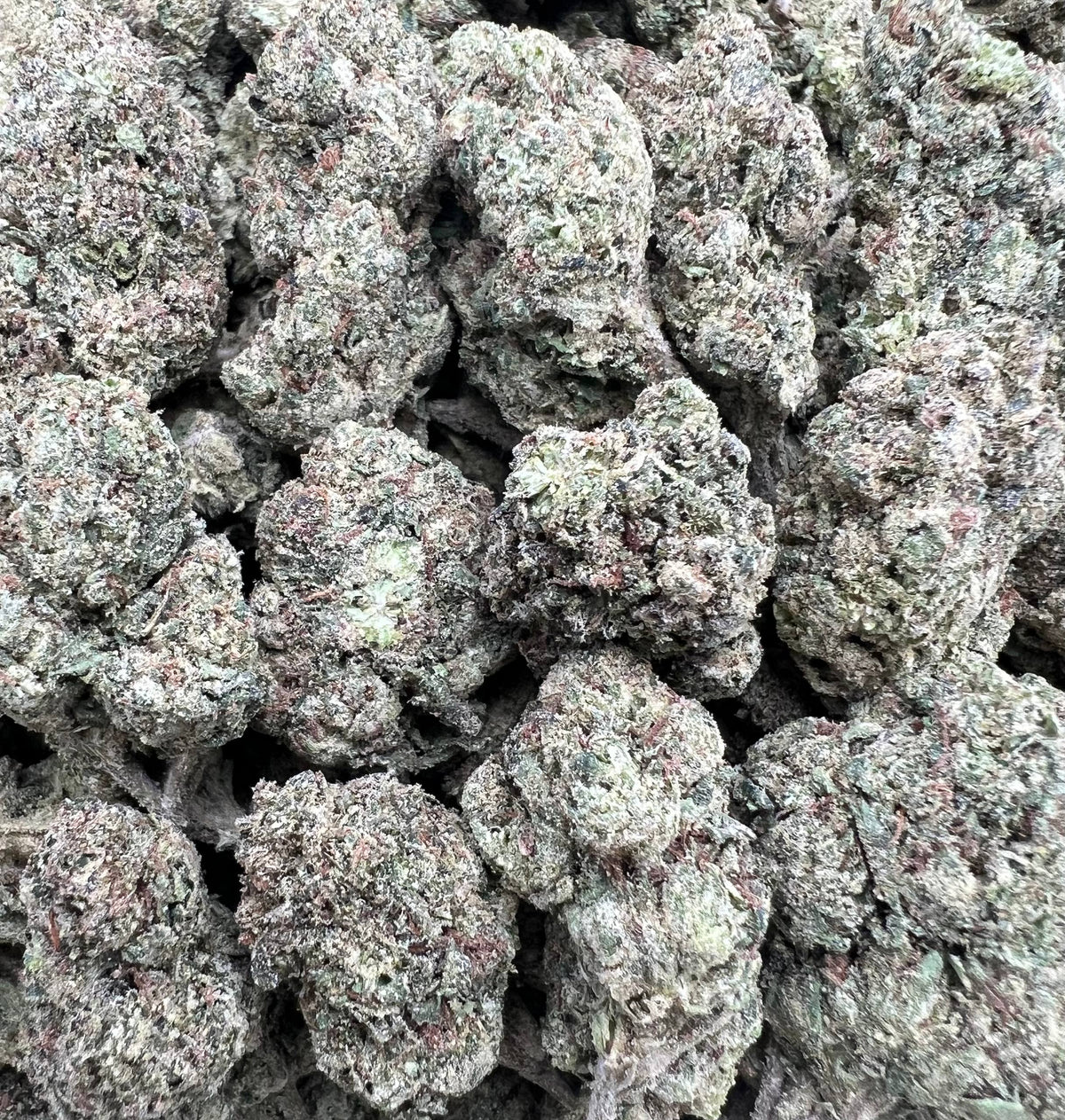 COOKIES N CREME [450]