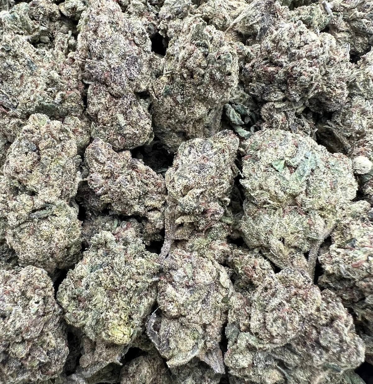 CHERRY POPS [500]