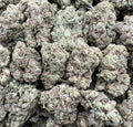 APPLE GRUNTZ [500]