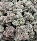 WHITE CHERRY RUNTZ [900]