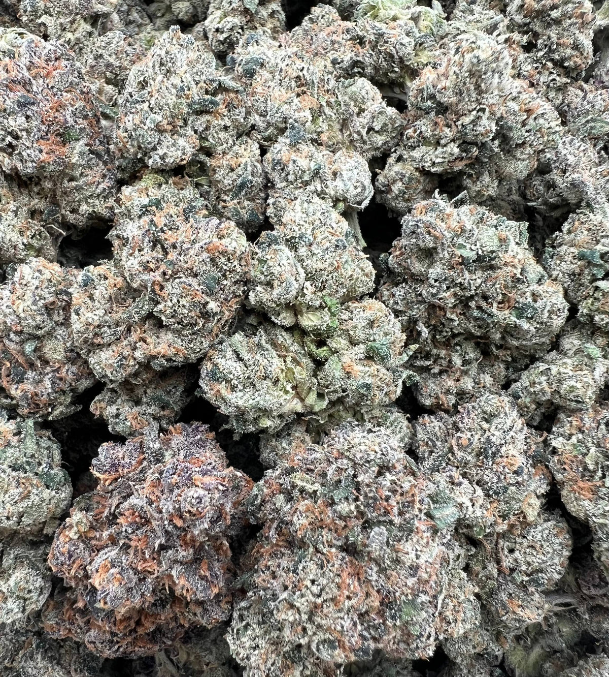 WHITE CHERRY RUNTZ [900]